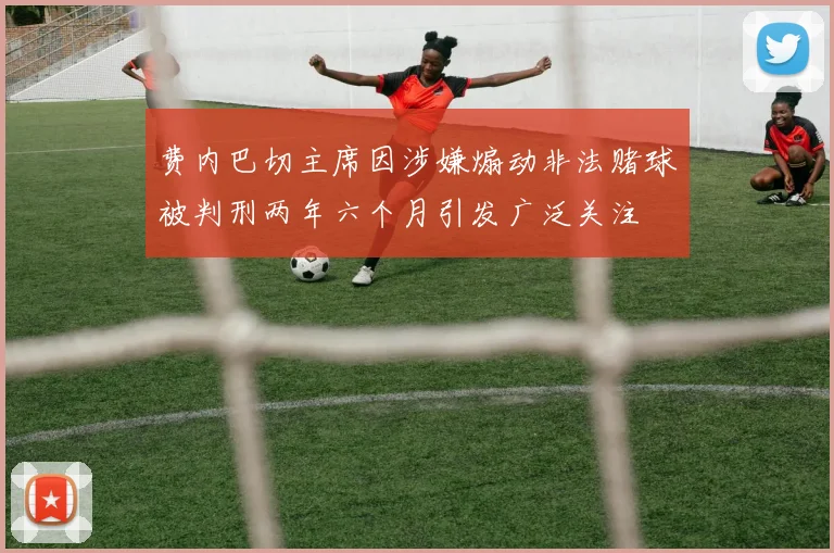 费内巴切主席因涉嫌煽动非法赌球被判刑两年六个月引发广泛关注